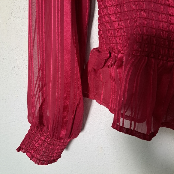 Japna Burgundy Blouse - Picture 7 of 8